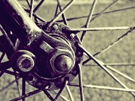 The One With the Bike